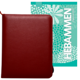 Lederhülle Maxi für Organizer mit Einlegeblättern 2023, Rot